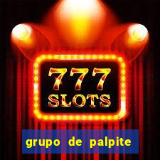 grupo de palpite de futebol telegram